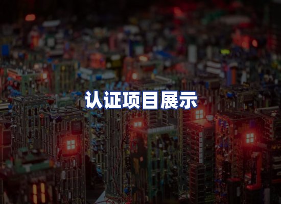 认证项目展示